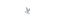 Ocala Caregivers
